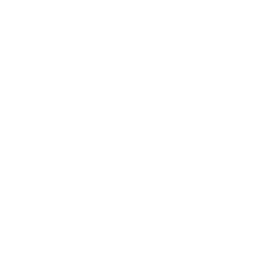 Schädlingsbekämpfung Icon